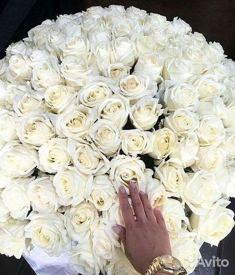 101 Роза Цветы Букеты 51 25 Роз Доставка