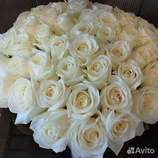 Высокие Розы с Доставкой