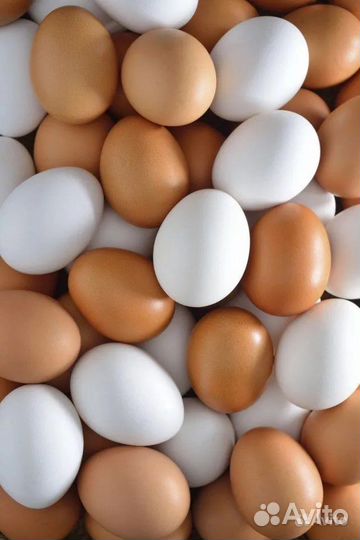 Домашние куриные яйца