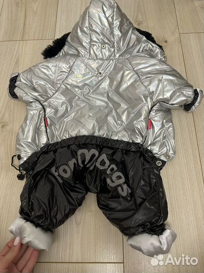 Одежда для собак