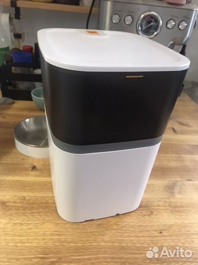 Автоматическая кормушка для кошек