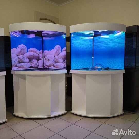Аквариум 200 свет биофильтр фон подставка
