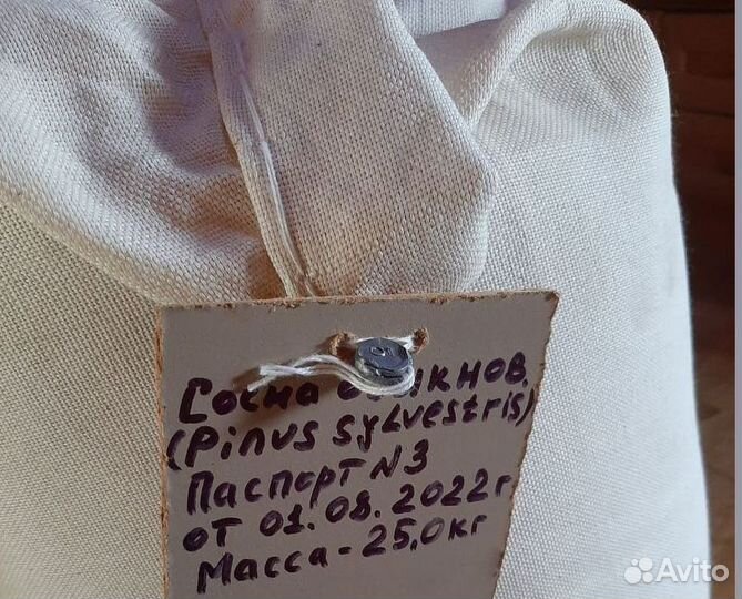 Доставка семян сосны