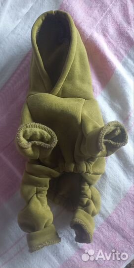 Одежда для собак