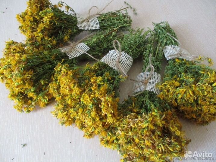 Трава пучки зверобой