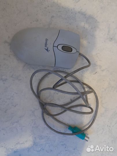 Компьютерная мышь