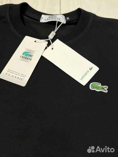 Мужской костбм lacoste двойка