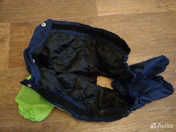 Вещи для собак