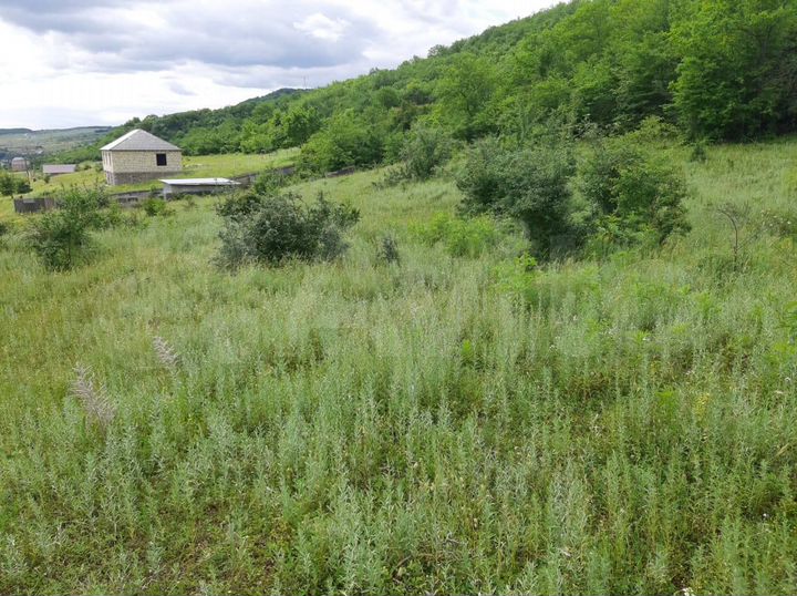 Участок 12 сот. (ИЖС)