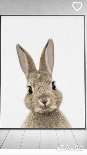 Постеры 30*40