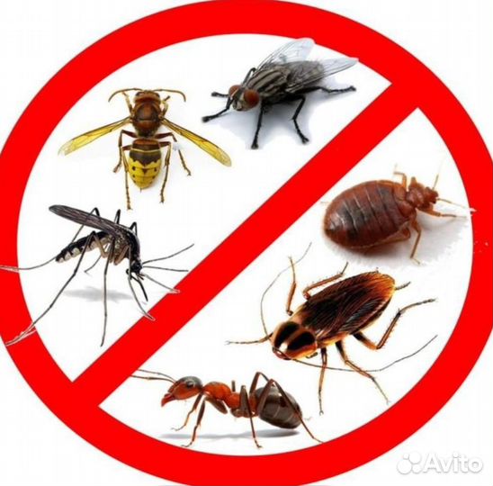 Травля насекомых