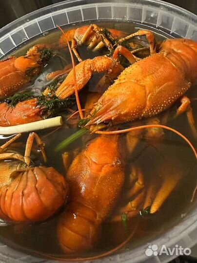 Живые раки и морепродукты