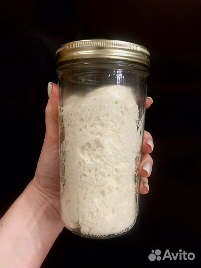 Закваска итальянская Левито Мадре