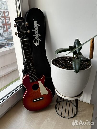 Электроукулеле Epiphone Les Paul AC
