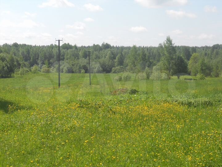 Участок 1,5 га (ИЖС)