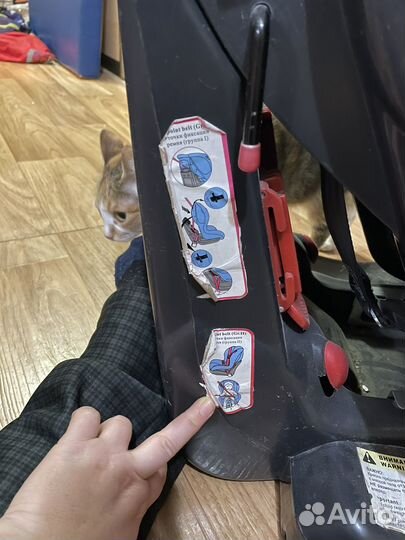 Детское автокресло от 9 до 25 кг Royal Baby