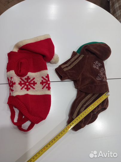 Одежда для собак мелких пород