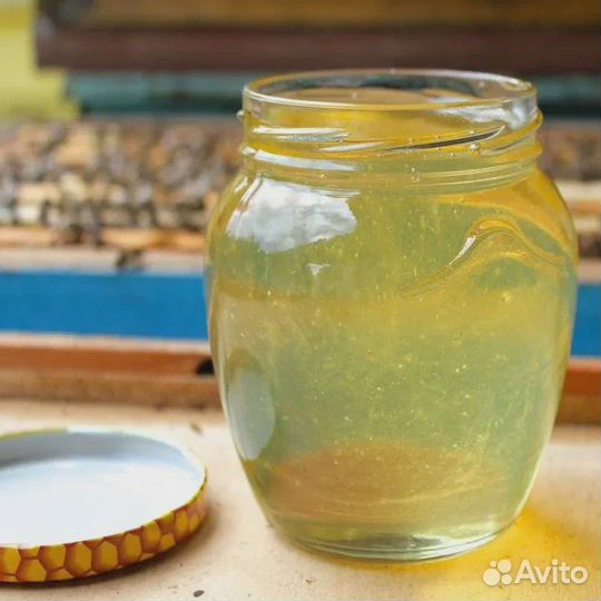 Мед акация,2023