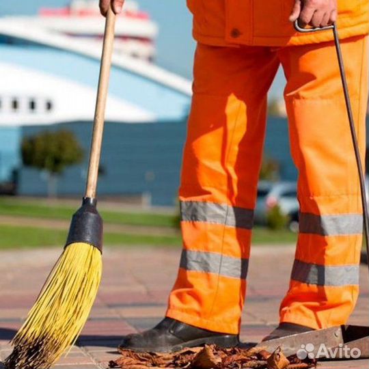 Дворник в день