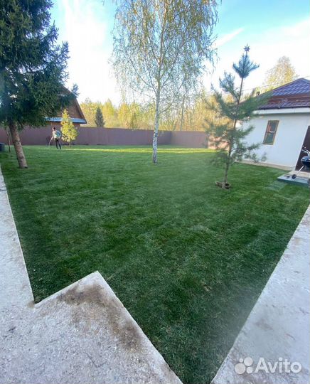 Рулонный газон / под ключ