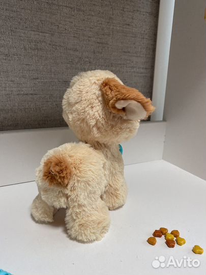 Интерактивная собачка на поводке