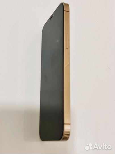 iPhone 12 Pro Max, 256 ГБ