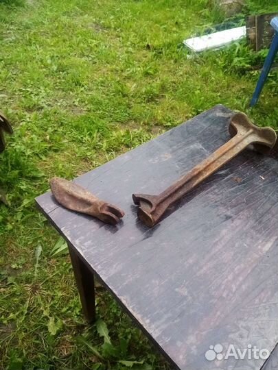 Лапа сапожная