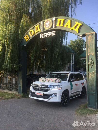 Прокат авто