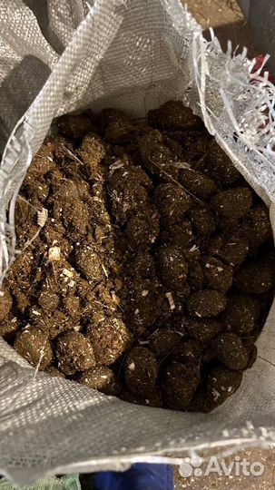 Навоз конский в мешках чистый