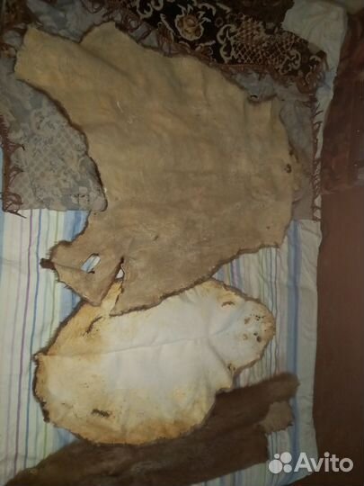 Шкурка бобра (имитация)