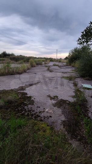 Участок 1,5 га (промназначения)