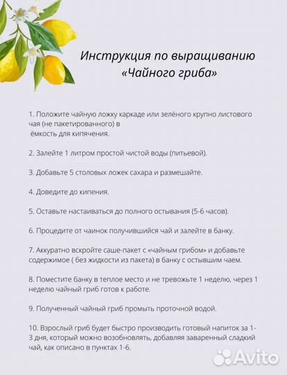Чайный гриб Каркадэ