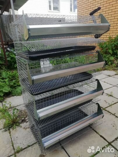 Клетки длЯ перепелов