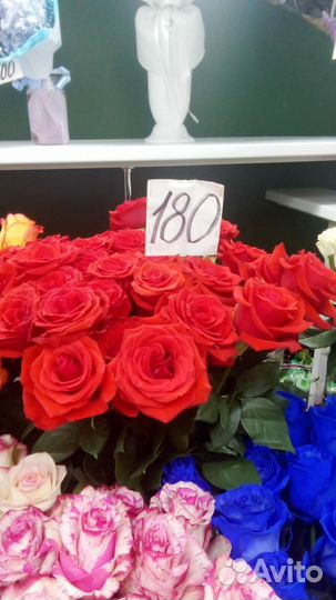 Роза 40,50,60 см Эквадор,Кения