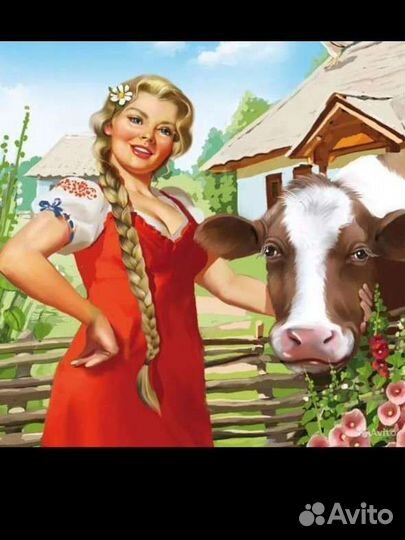 Дояр доярка