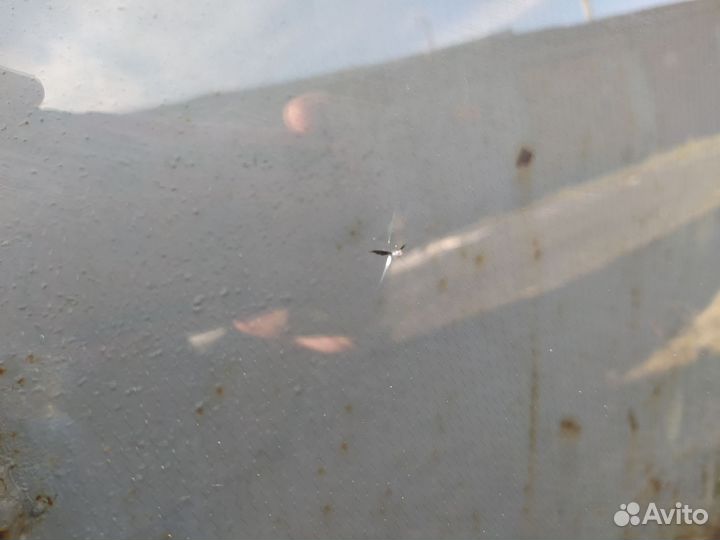 Лобовое стекло haval jolion