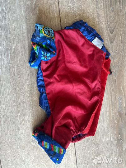 Одежда для чихуахуа мальчик