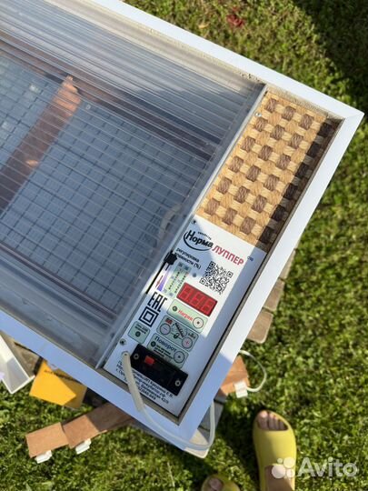 Инкубатор для яиц автоматический норма луппер