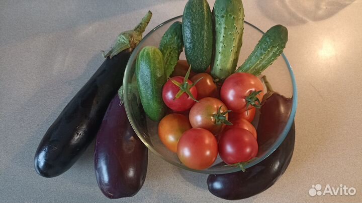 Свежие помидоры, баклажаны