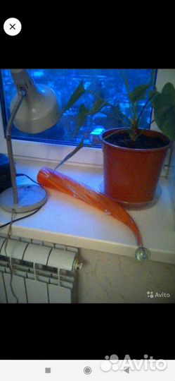 Рог изобилия