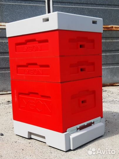 Лысонь Улья новые