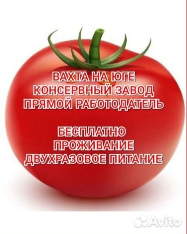 Вахта для пенсионеров новый хостел питание муж/жен