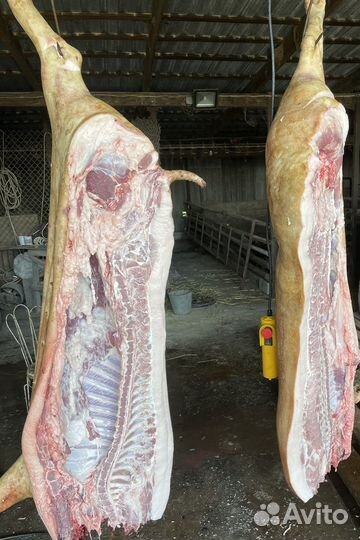 Свинина домашняя