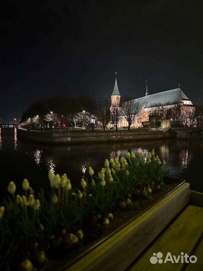 Экскурсии в Калининграде