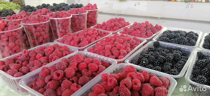 Ягоды малины