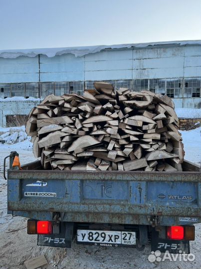 Горбыль дубовый