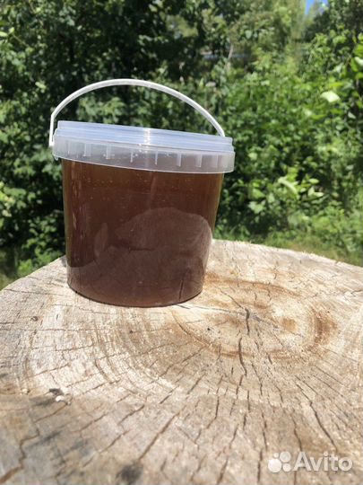 Мед тайга алтай