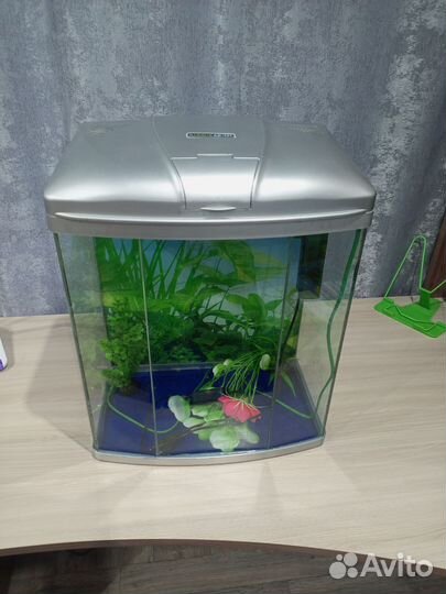 Аквариум