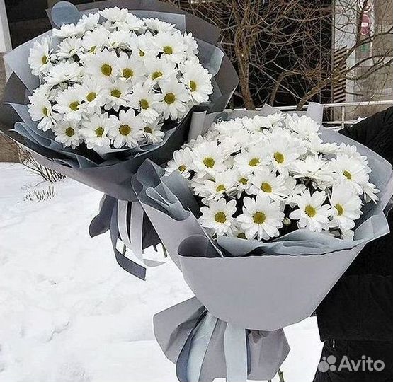 Доставка букетов и цветов. Хризантема