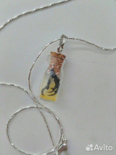 Шкурки,крылья,лапки,чучела.Таксидермия